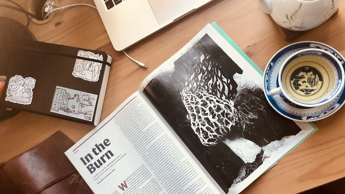 Drink tea and read books 2019.08.12