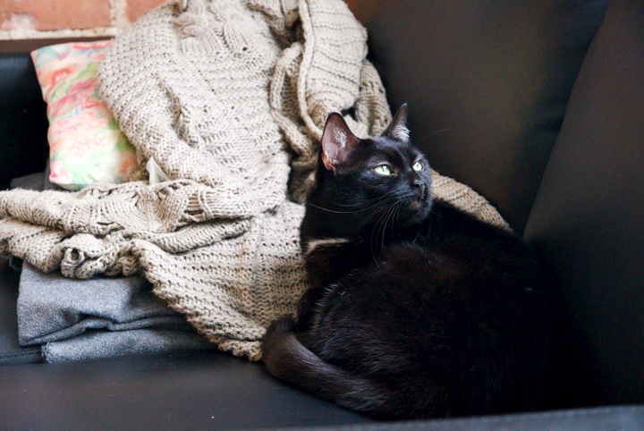 Farewell, Luna