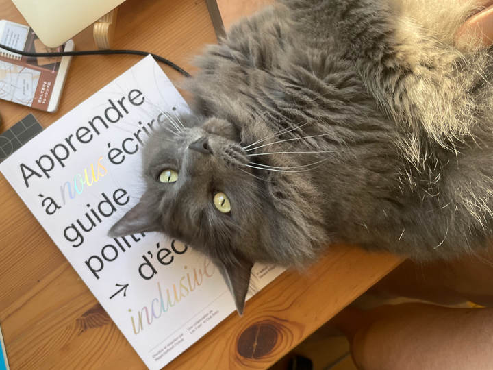 Book Rec: "Apprendre à nous écrire" edited by Magali Guilbault Fitzbay